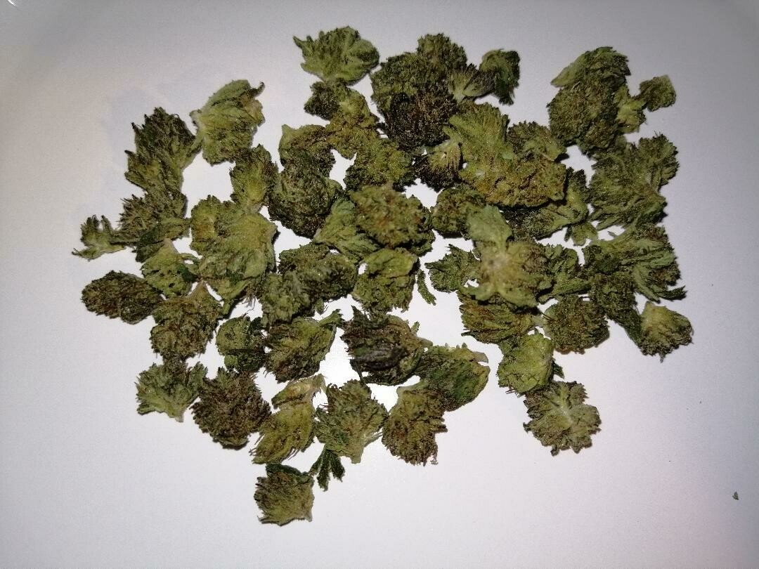 Sissy Q Minis 1g