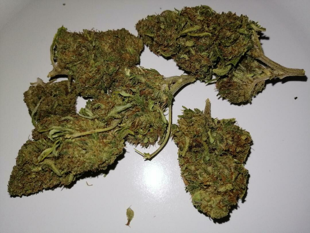 Hawaiian Haze 1g