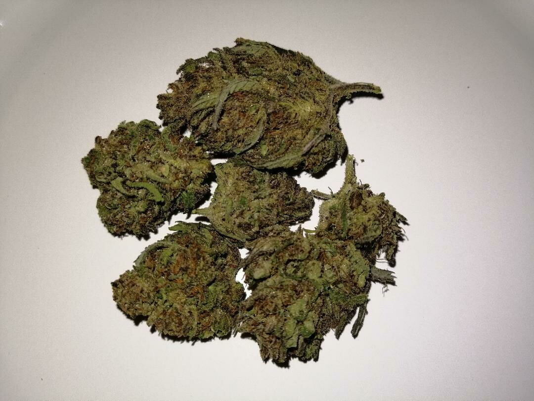 Lifter 1g