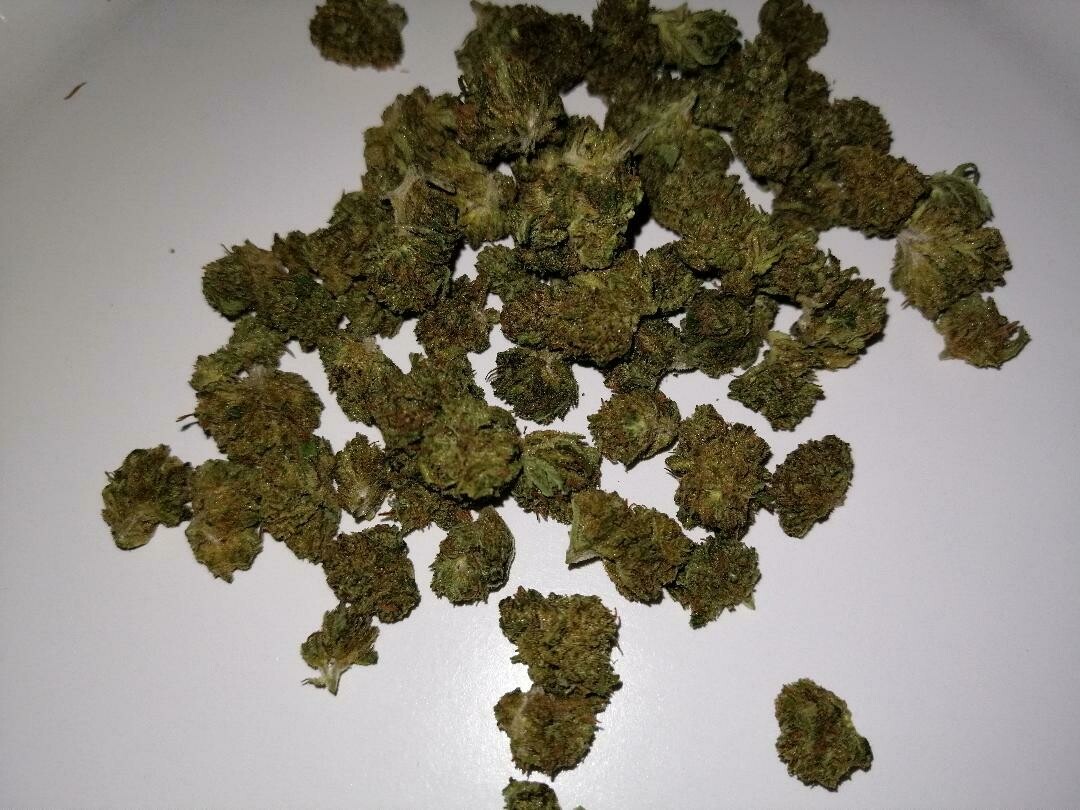 Hope Minis 1g