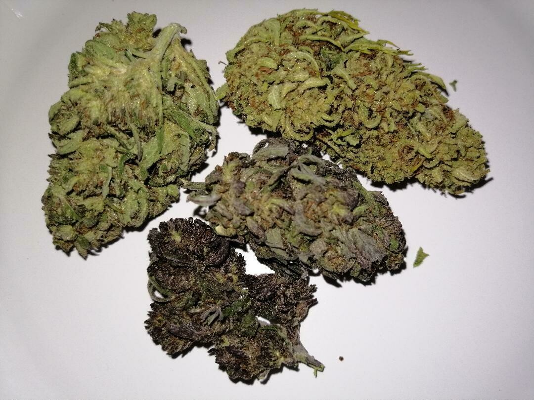 Suver Haze 1g