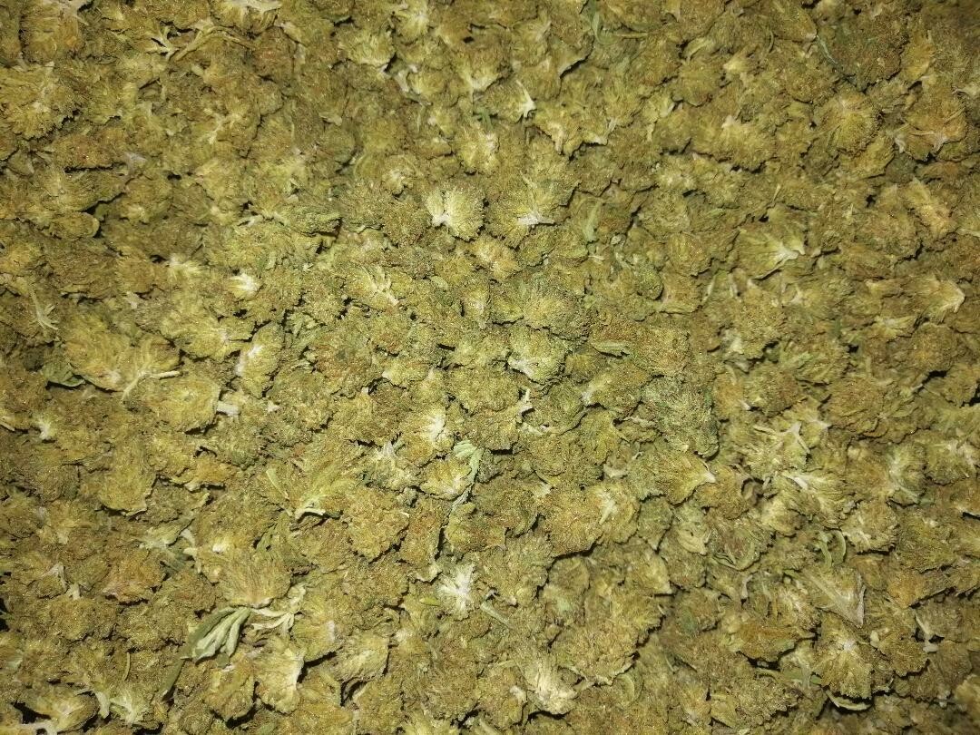 Granny Smith Minis 1g