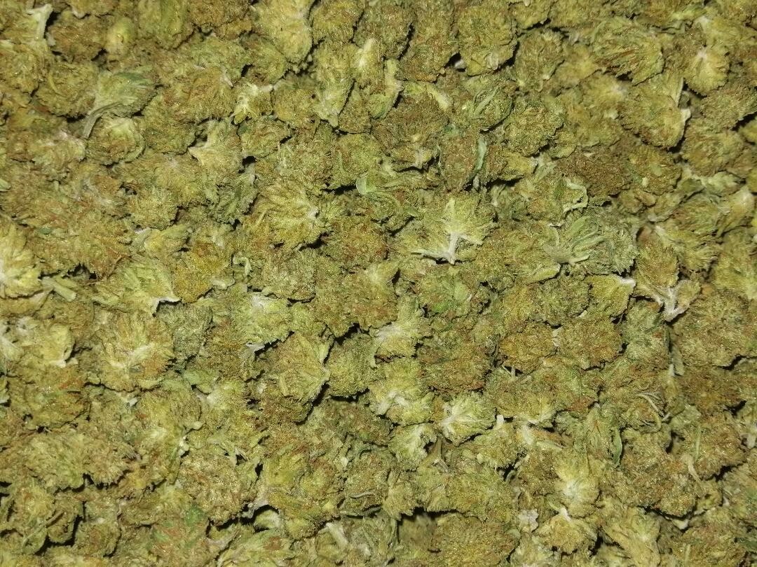 ACDC Minis 1g