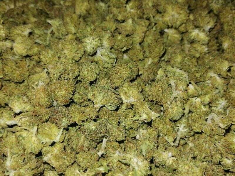 Chardonnay Minis 1g