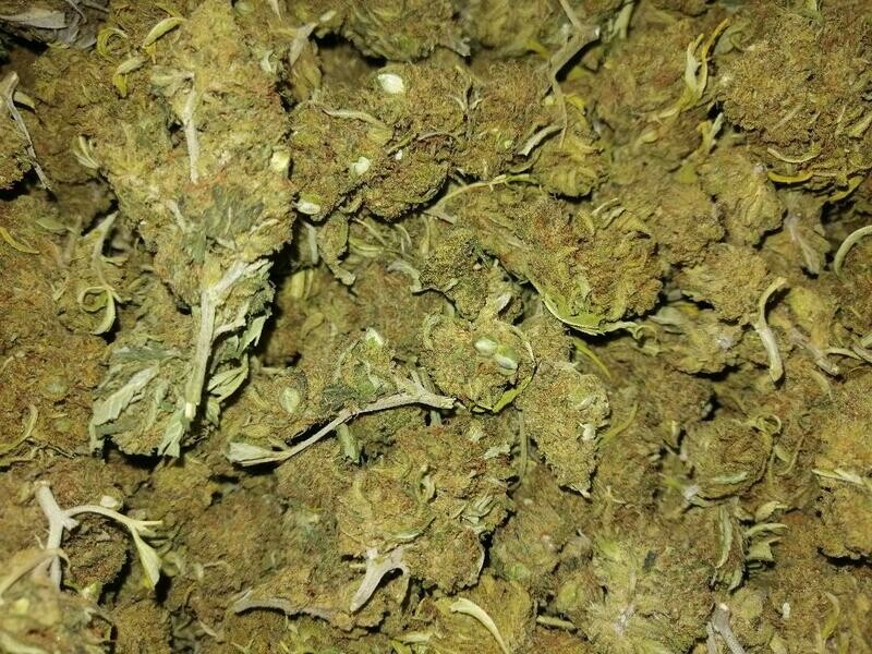 Seedy Haze  1g