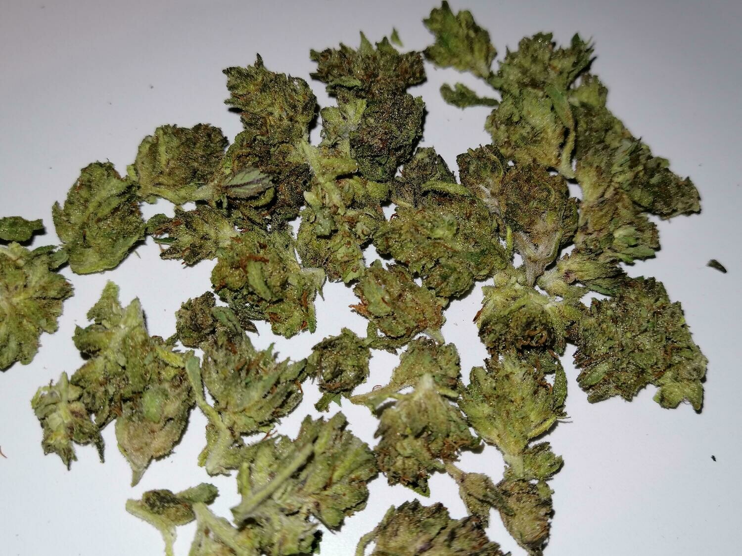 Greenhouse Sour Blueberry Diesel Minis 1g
