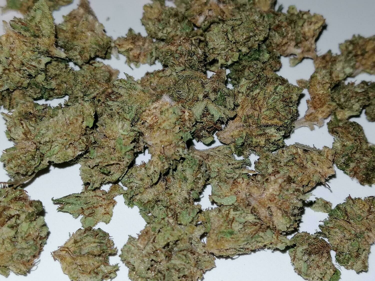 Camas Valley Kush Minis 1g