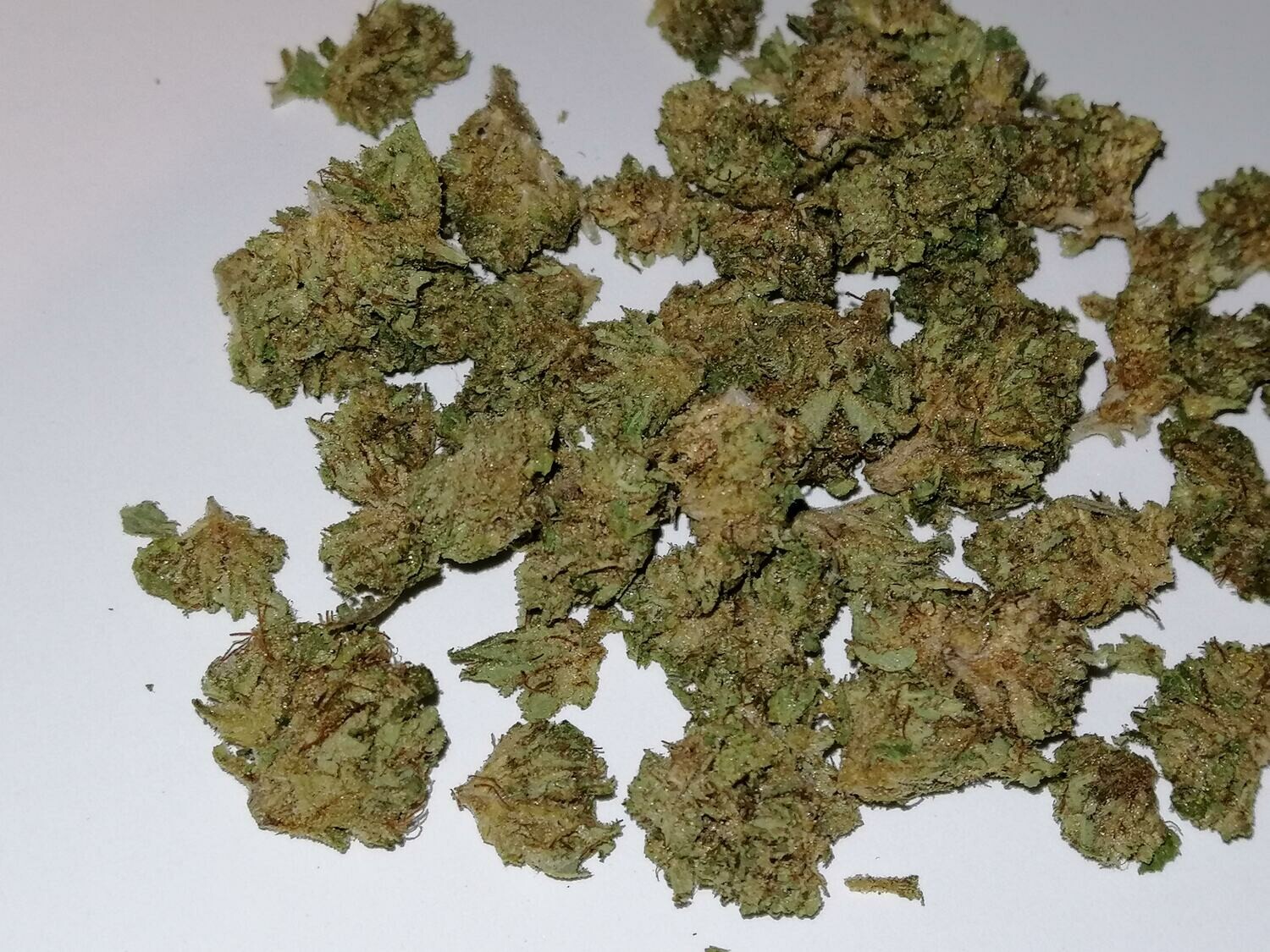 Camas Valley Kush Minis 1g
