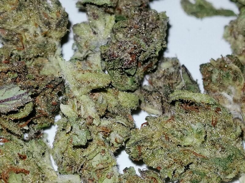 Greenhouse Sour Blueberry Diesel Minis 1g