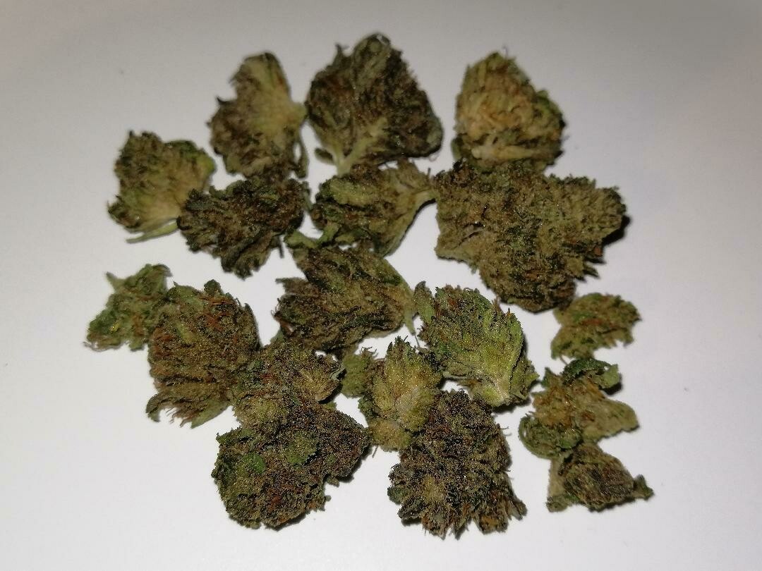 Greenhouse Strawberry Gelato Minis 1g