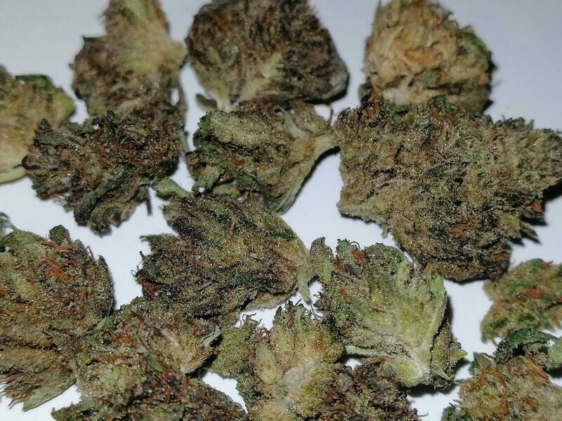 Greenhouse Strawberry Gelato Minis 1g