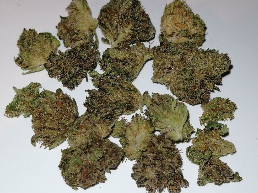 Greenhouse Strawberry Gelato Minis 1g