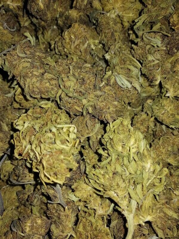 Seedy Suver  1g