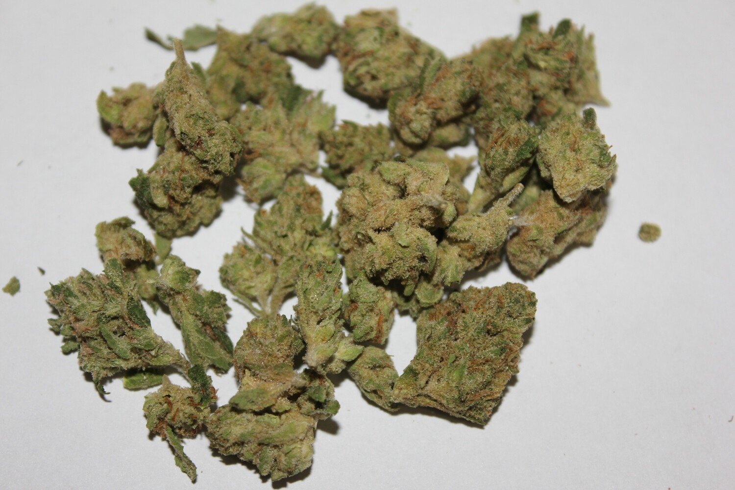 THCa Mule Fuel Indica Minis (32% THCa)