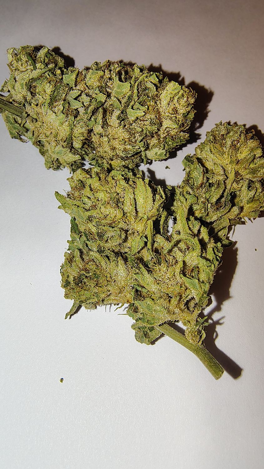 THCa GG4 Limited Batch!