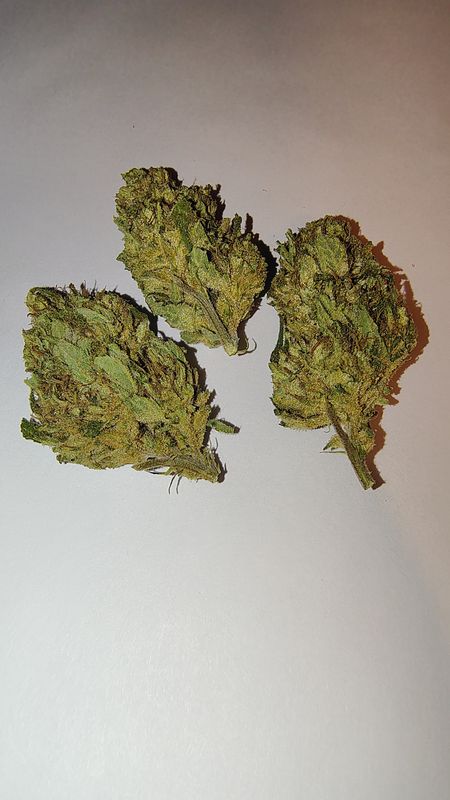 THCa Durban Poison Limited Batch!