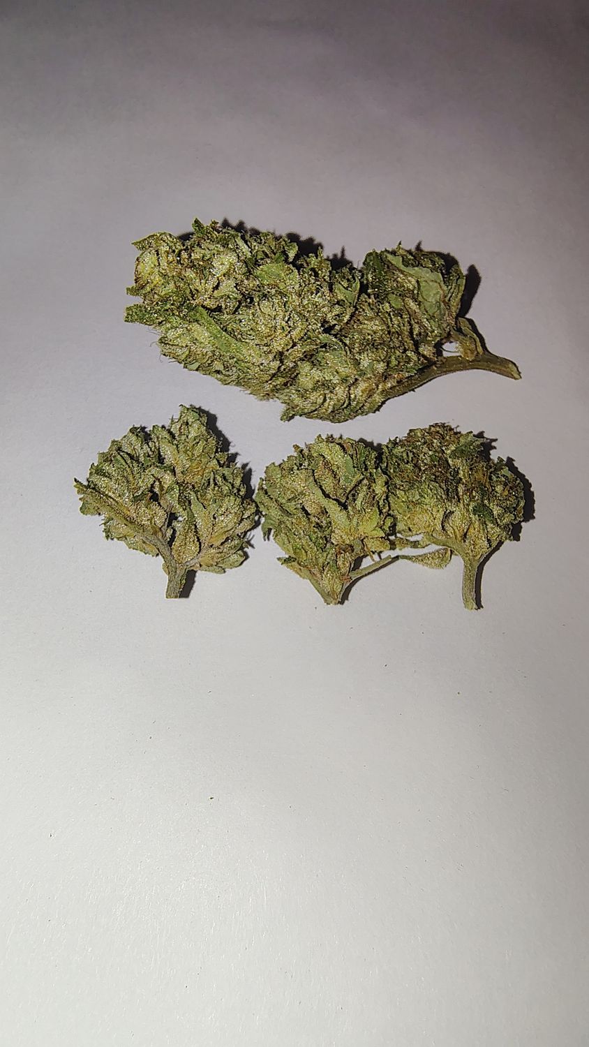 THCa Moon Fruit Limited Batch!