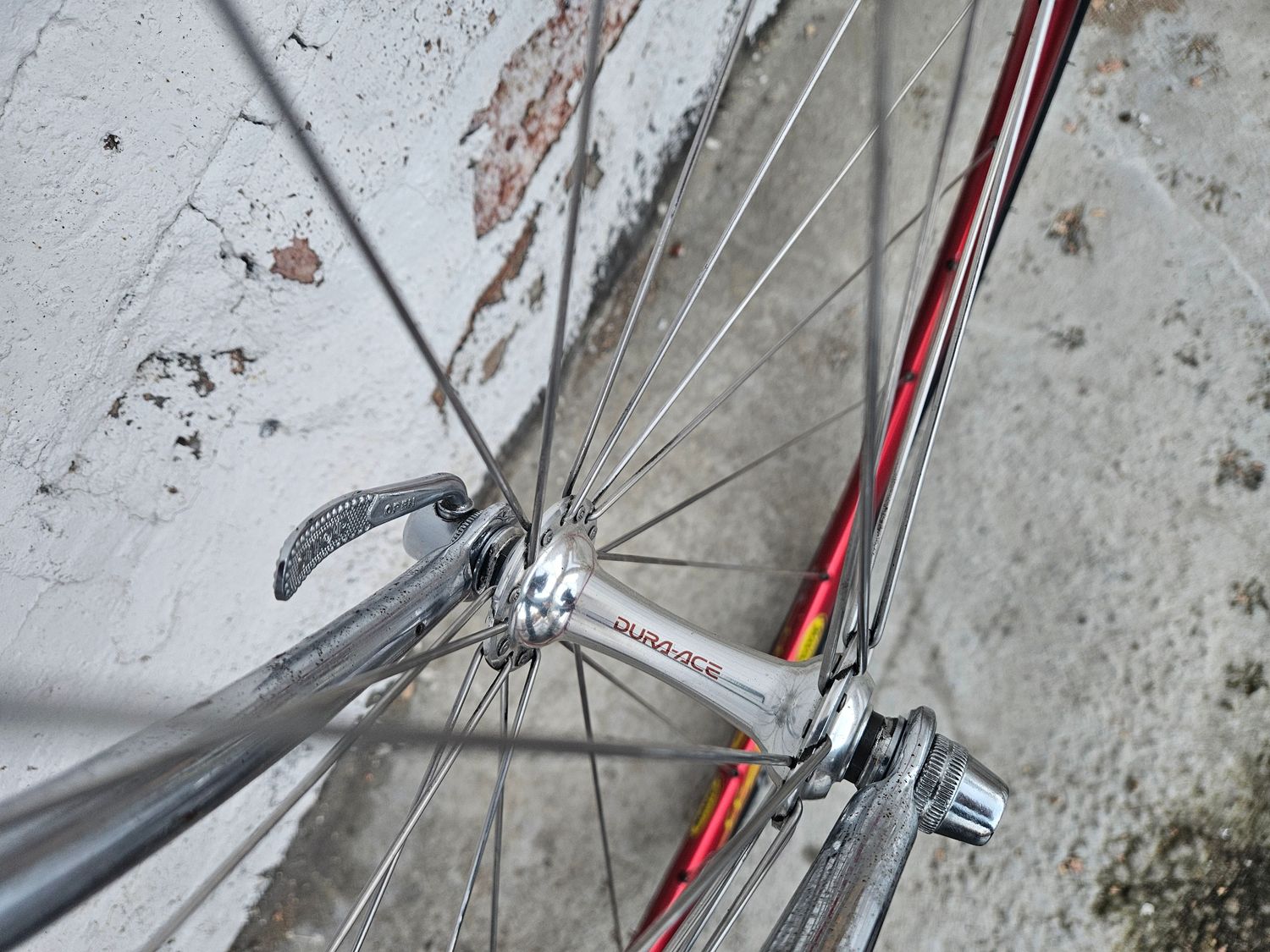 10400 Olmo Competition (L, Italo Disco Red)