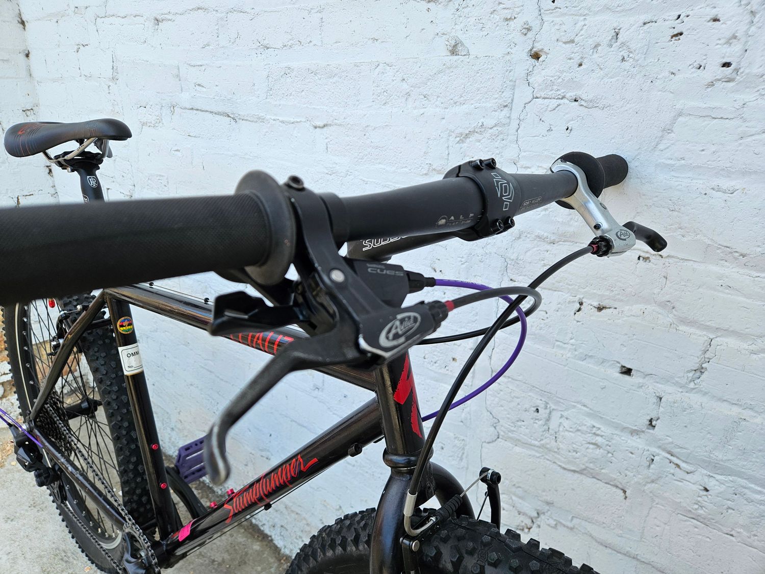 10227 Specialized Stumpjumper (S/M, Black)