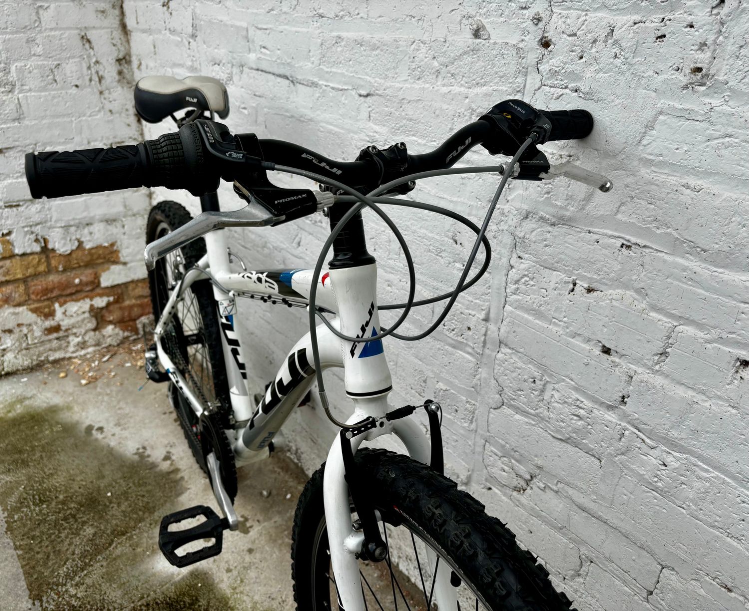 10419 Fuji Nevada (S, White)