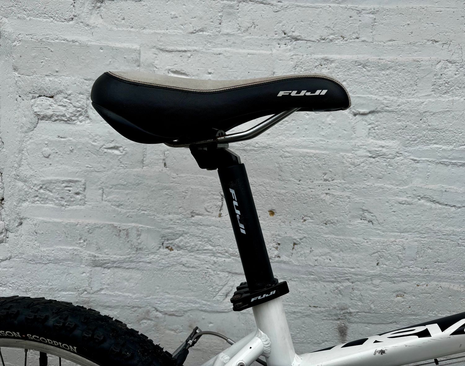 10419 Fuji Nevada (S, White)