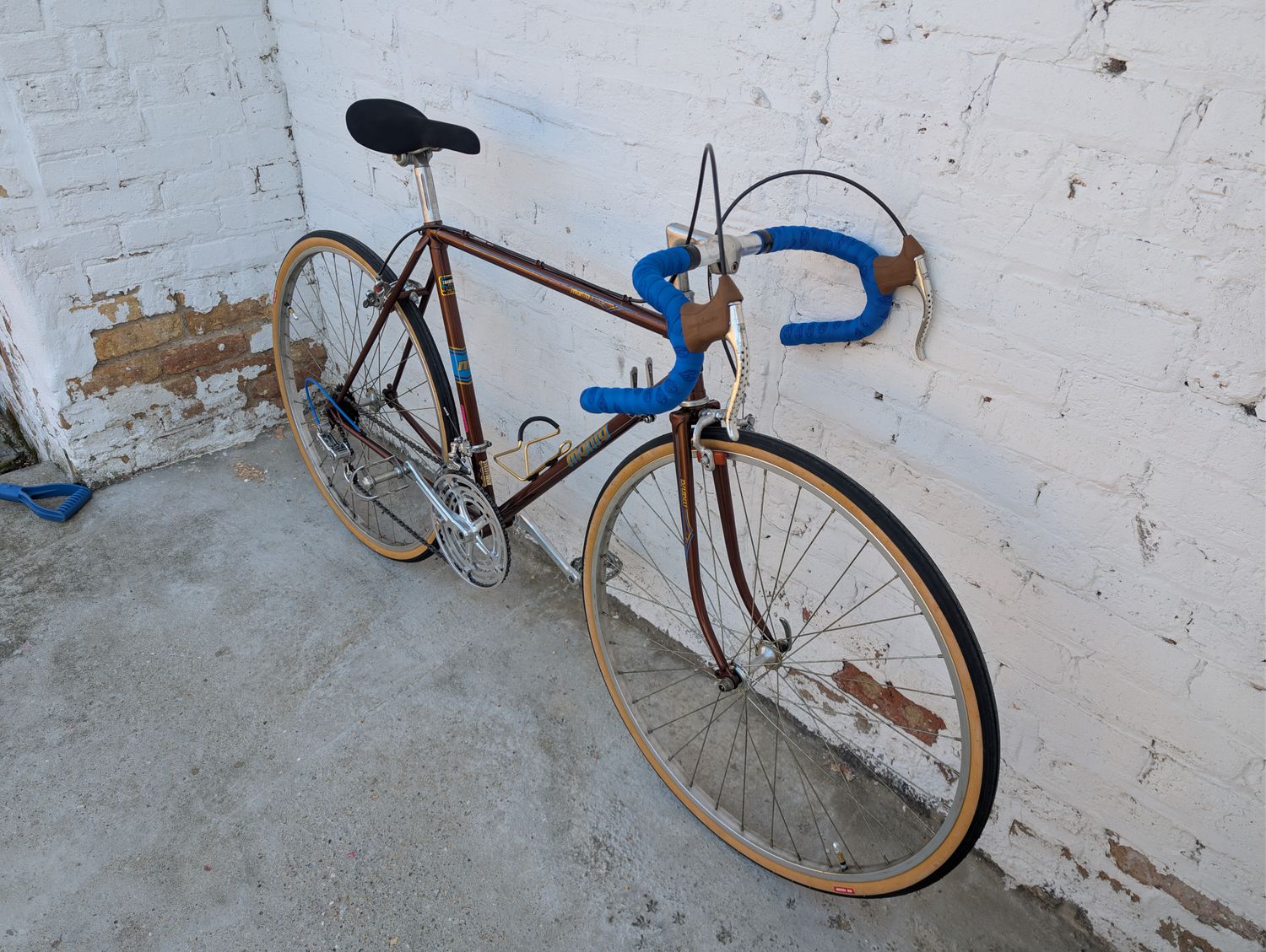 10565 Manta Road 27" (M, Gilded Root Beer)