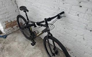 10568 Novara Safari L