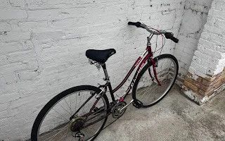 10562 Schwinn Searcher