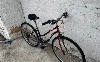 10562 Schwinn Searcher