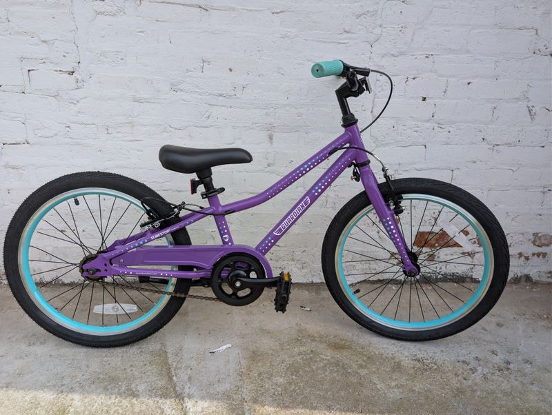 (10668) Guardian 20" (Kids 20", Purple)
