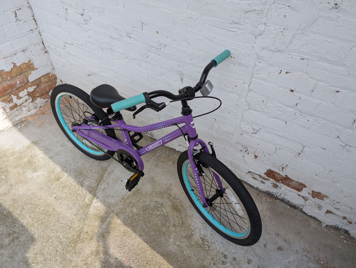(10668) Guardian 20" (Kids 20", Purple)