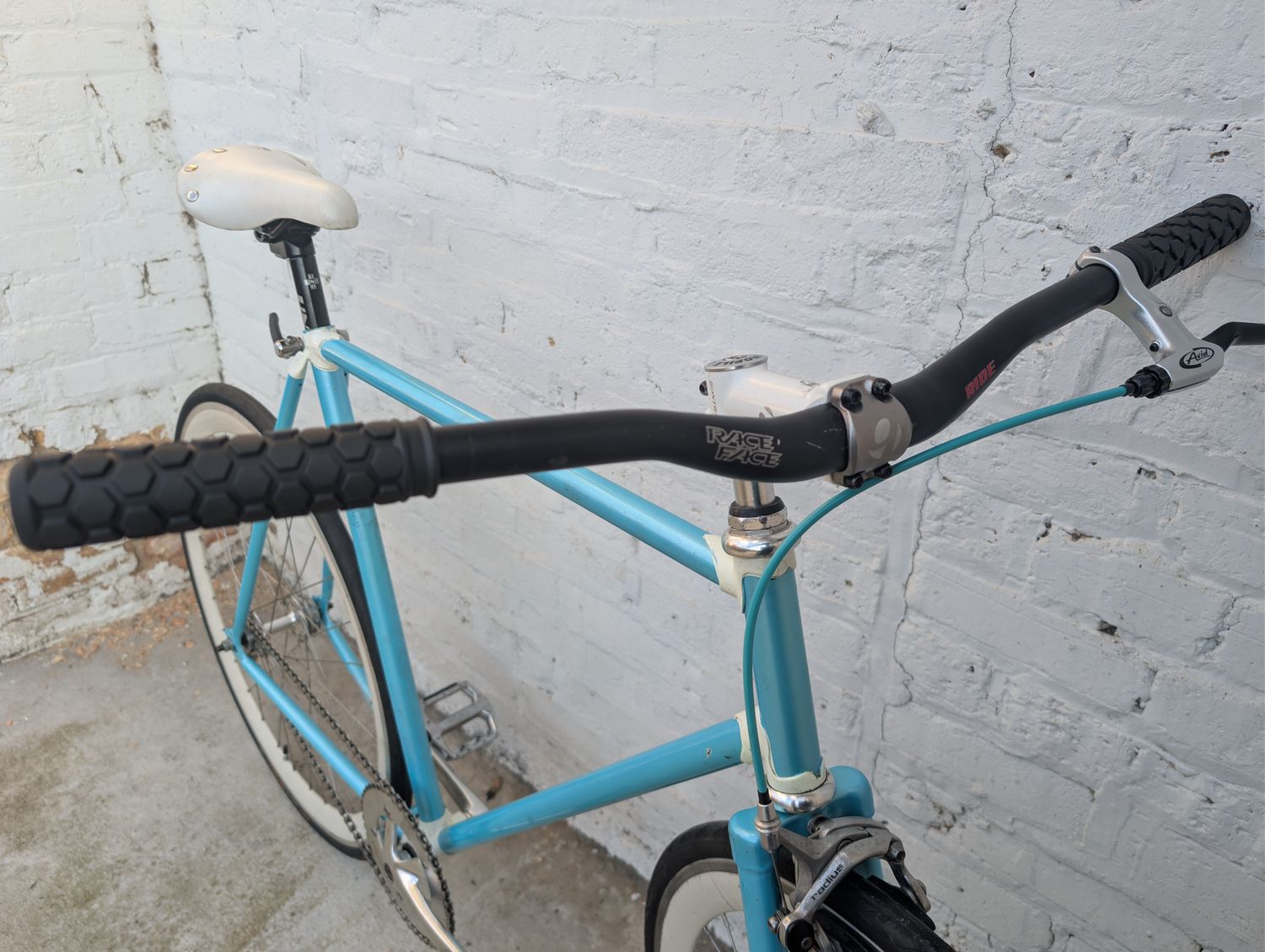 (10703) Single Speed Fixed Gear (L, Blue)
