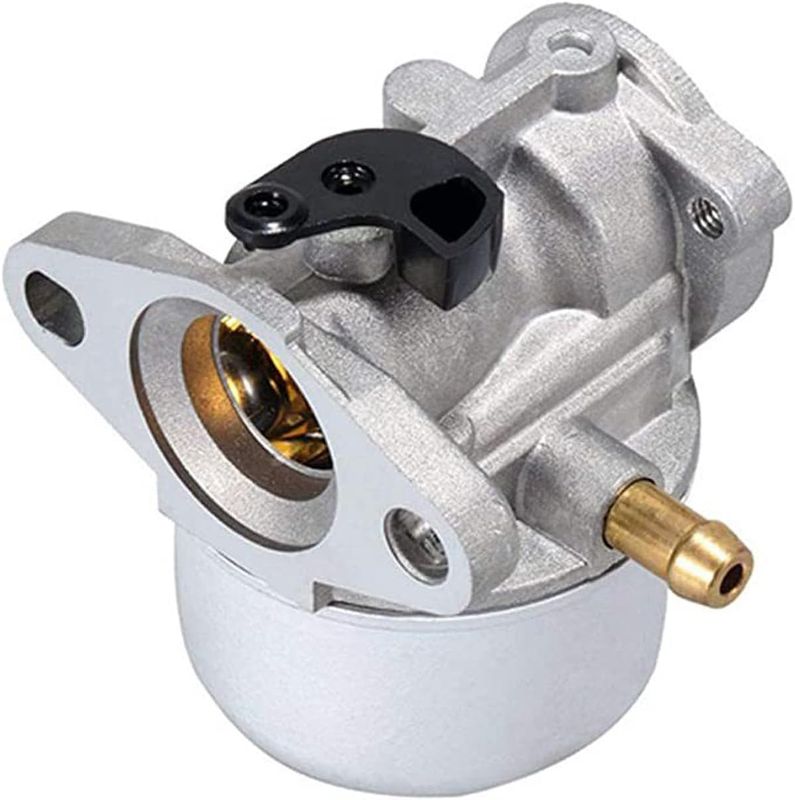 Briggs &amp; Stratton Carburetor 799868