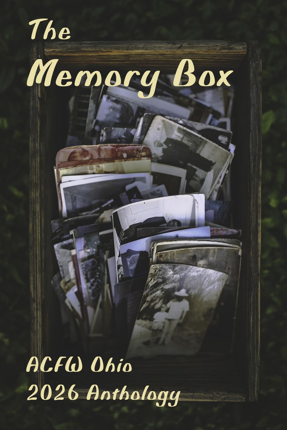 The Memory Box - ACFW Ohio 2026 Anthology