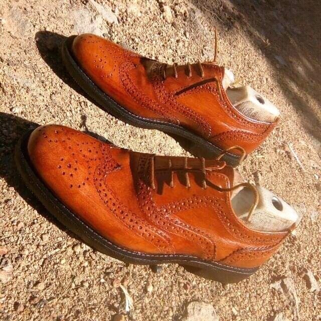 Longwing Brogue Corporate Shoes Upto Size 48 - Brown