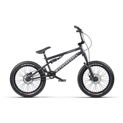 We The People Swampmaster BMX Bike