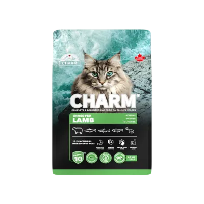 Dry Cat Food
