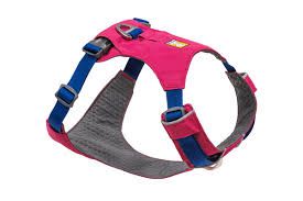 Pet Harness