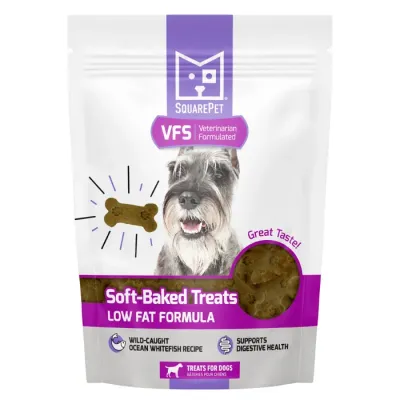 Square Pet Treats