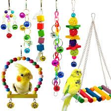 Bird Supplies