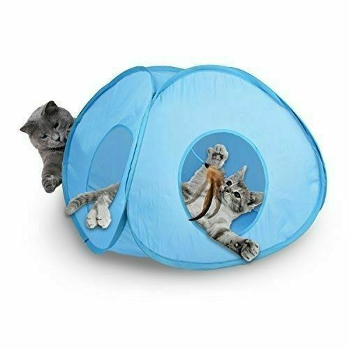 Our Pets Play-N-Squeak