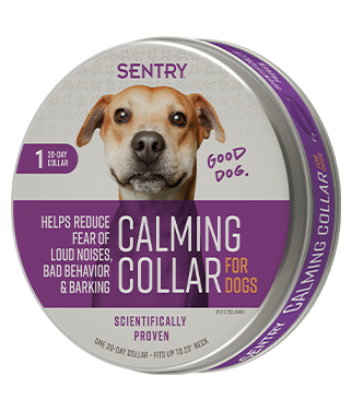 Sentry Calming Collar