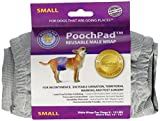 PoochPants Reusable Male Wrap, Small, 12" To 15"