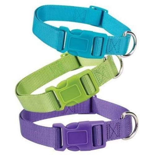 Nylon Dog Collar by Zack &amp; Zoey - Tomato Red 14"-20"