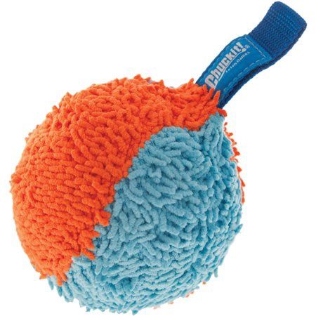 Chuckit! Indoor Shaker Dog Toy