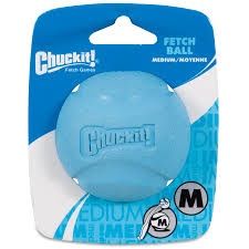 Chuckit! Fetch Ball Medium