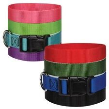 Nylon Dog Collar by Zack &amp; Zoey - Nautical Blue - 6"-10"