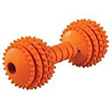 JW Pet Company Chompion Lightweight Dog Toy (Colors Vary)