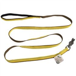 K9 Explorer Refl Leash w/Snap Goldenrod 1"x6'