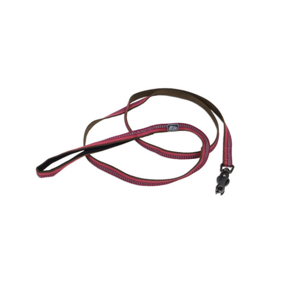 K9 Explorer Refl Leash w/Snap Berry 1"x6'